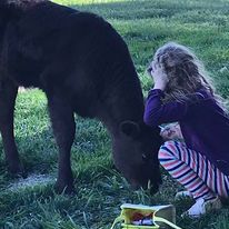 Bum calf
